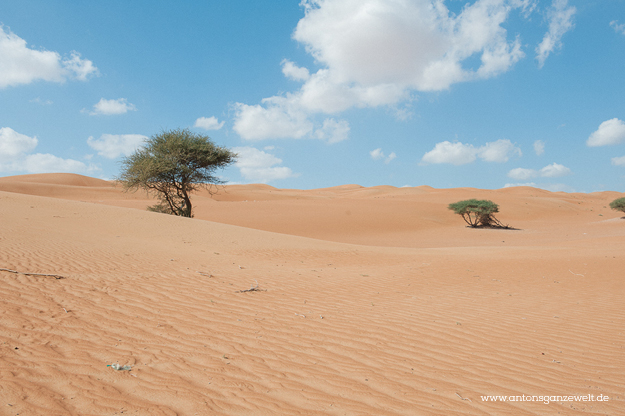 Oman Sur Wüste23