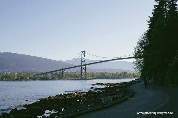Discover Vancouvers English Bay by bike5