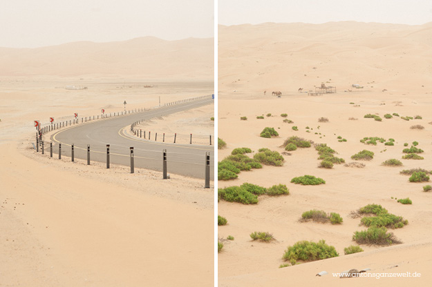 Wüste und Oasen in Abu Dhabi mit Kindern entdecken10