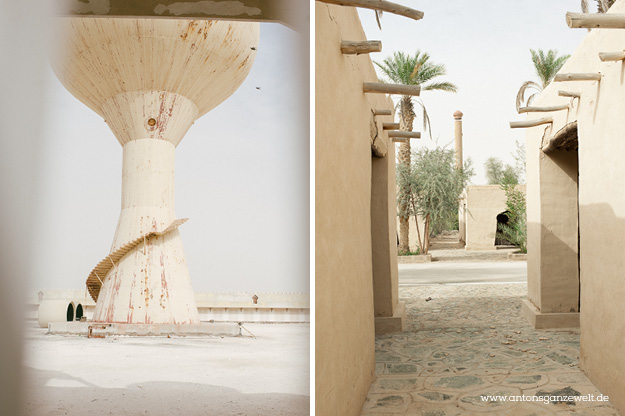 Wüste und Oasen in Abu Dhabi mit Kindern entdecken12