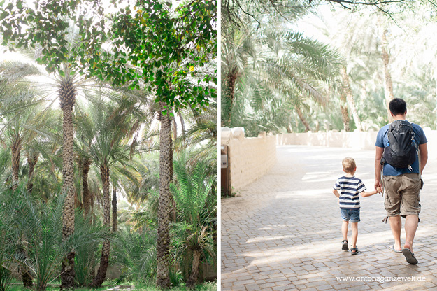 Wüste und Oasen in Abu Dhabi mit Kindern entdecken17