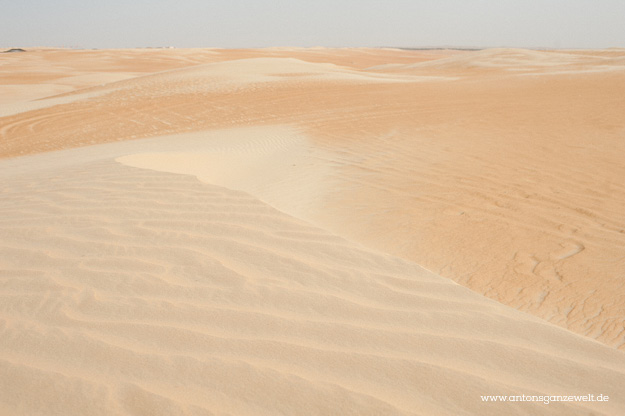 Wüste und Oasen in Abu Dhabi mit Kindern entdecken3