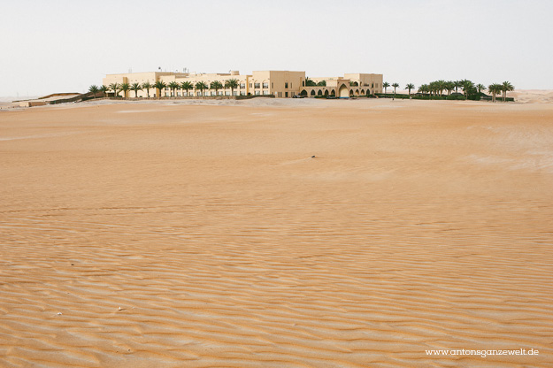 Wüste und Oasen in Abu Dhabi mit Kindern entdecken8