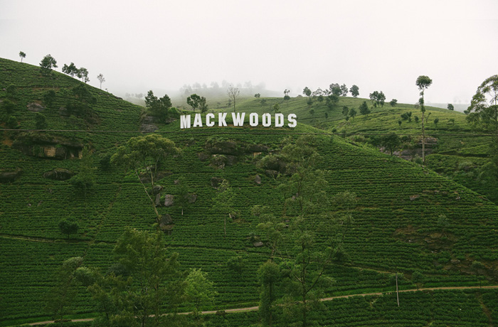 macwoods-tea-factury-sri-lanka